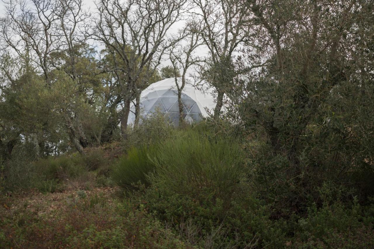 Alojamiento Rural Camino Beturia Cabeza la Vaca ภายนอก รูปภาพ