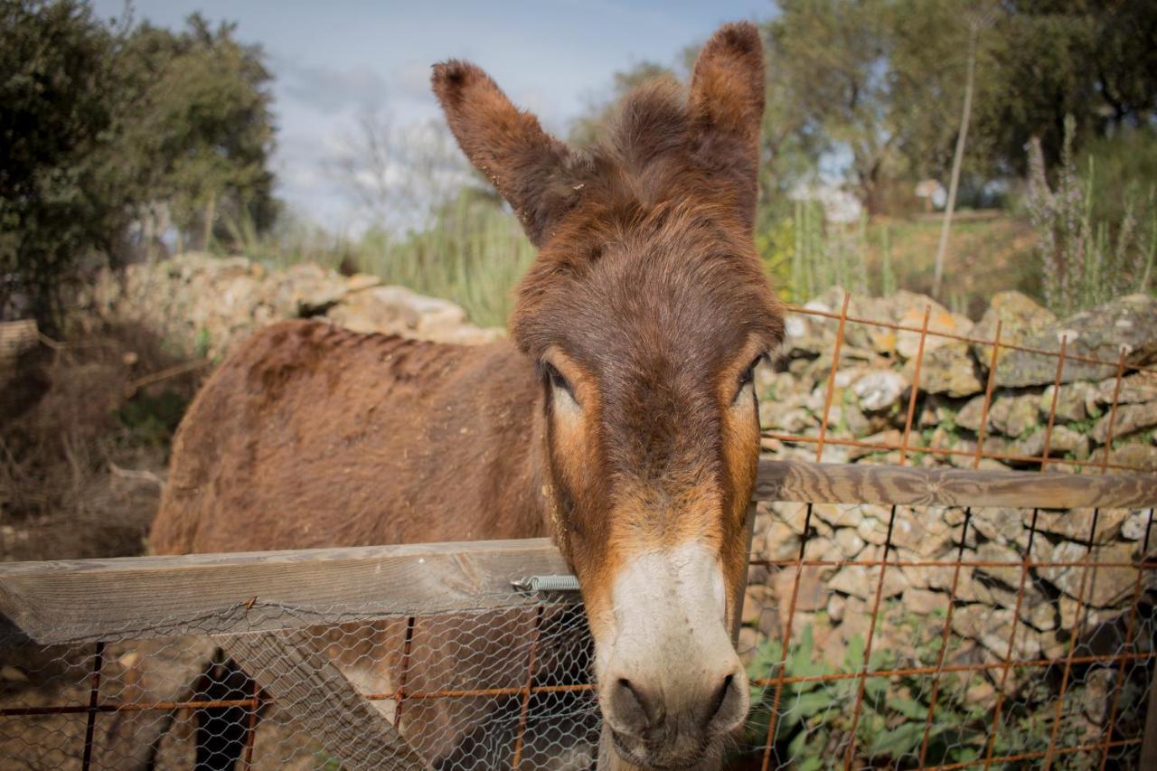 Alojamiento Rural Camino Beturia Cabeza la Vaca ภายนอก รูปภาพ