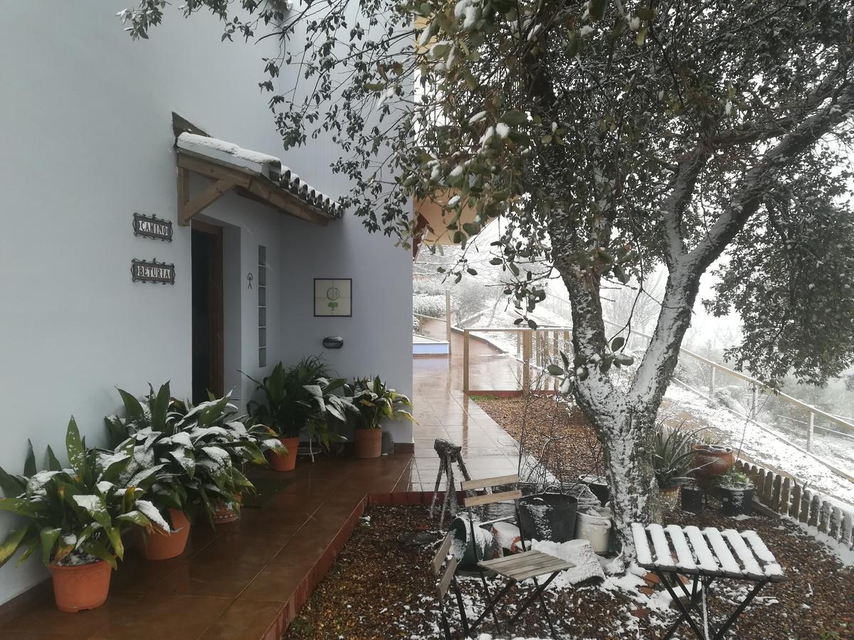 Alojamiento Rural Camino Beturia Cabeza la Vaca ภายนอก รูปภาพ